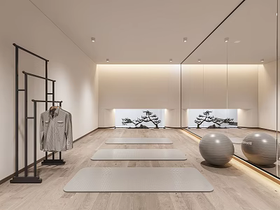 Modern Fitness Studio Interior With Yoga Mats Exercise Balls Clothing Rack And Mirrors 3d model