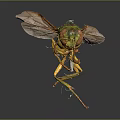 Close Up View of Green and Yellow Wasp with Transparent Wings on Dark Background