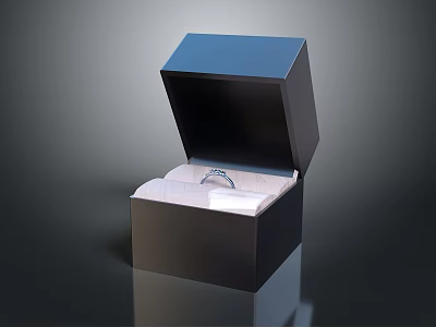 Stylish Fashion Ring Accessory Inside Open Box With Dark Exterior And White Lining 3d model
