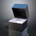 Stylish Fashion Ring Accessory Inside Open Box With Dark Exterior And White Lining 3d model