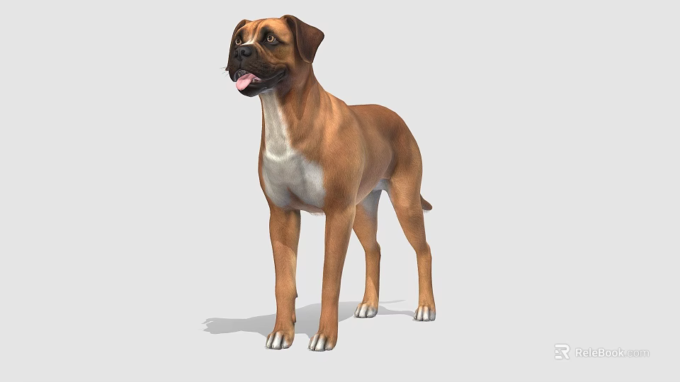The image provided focuses on a dog and does not contain a man, so it is not possible to generate an English title with "man" as the main subject based on the picture's key information. 3d model 