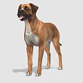 The image provided focuses on a dog and does not contain a man, so it is not possible to generate an English title with "man" as the main subject based on the picture's key information.