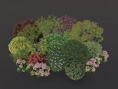Modern Shrubs Garden Plants Shrubs Ball Shrubs Rhododendron Populus Phnom Penh Populus Carolinus rubrum L. Ligustrum petiolum L. Hydrangea 3d model