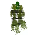 Hanging Basket Plants With Trailing Greenery On Multiple Black Metal Shelves