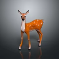 Cute Fawn With Orange Body White Belly And Spots Standing On Dark Background With Reflection
