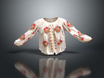 Modern Clothes Ethnic Costume Top 3d model