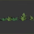 Green Fern Plant Decor Elements With Different Leaf Shapes And Sizes