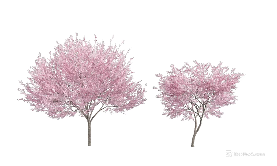 Beautiful Vibrant Two Trees With Full Pink Blossoms Flourishing In Spring 3d model 