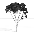 The Modern Tree 3d model