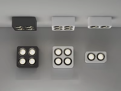 Modern Downlights And Spotlights In Black Silver With Various Designs And Multiple Bulbs 3d model
