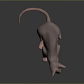 Hairless Sphynx Cat With Bright Green Eyes Standing On Dark Surface