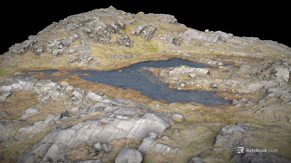 Natural Rocky Terrain With Small Water Pools And Green Grass Patches 3d model 