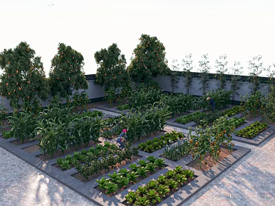 Rural Landscape Vegetable Garden With Neatly Arranged Planting Beds Diverse Plants And Fruit Trees 3d model