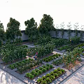 Rural Landscape Vegetable Garden With Neatly Arranged Planting Beds Diverse Plants And Fruit Trees