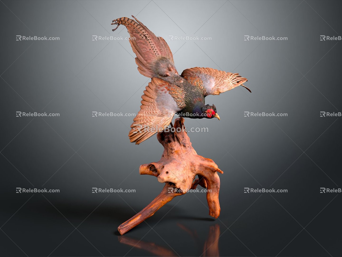 Modern Pheasant Birds 3d model