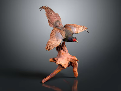 Beautiful Flying Pheasant Spreading Wings Perched on Natural Wooden Root 3d model