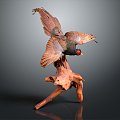 Modern Pheasant Birds 3d model