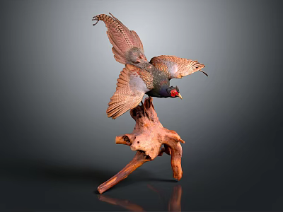 Modern Pheasant Birds 3d model