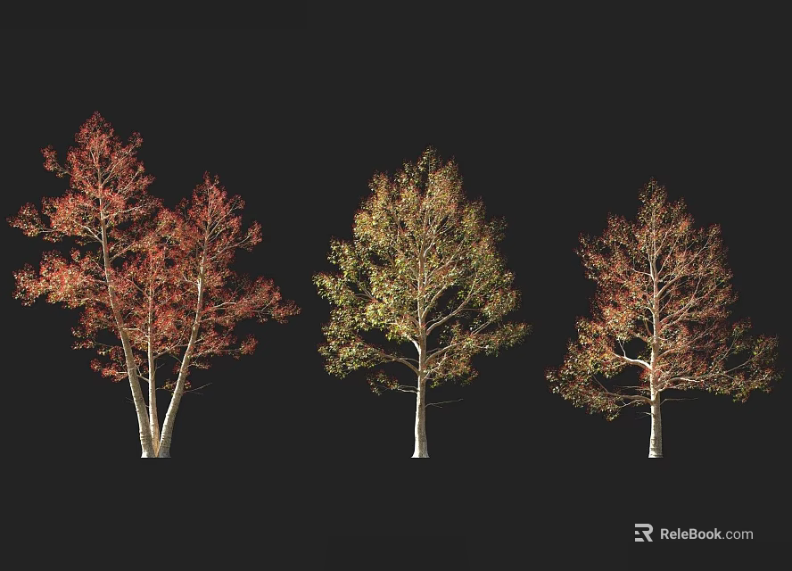 Three trees with different colored leaves in red yellow-green and reddish-yellow against black background 3d model 