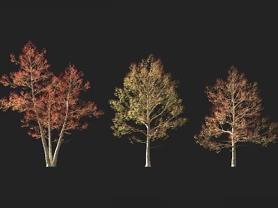 Three trees with different colored leaves in red yellow-green and reddish-yellow against black background 3d model