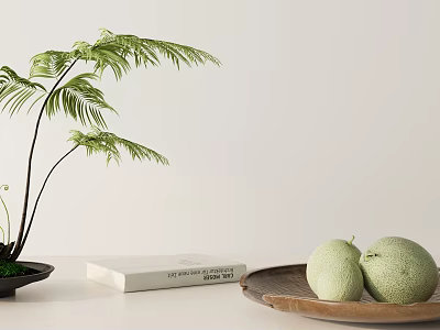 Elegant Decorative Ornament Combination With Fern Black Pot White Book Wooden Tray And Green Melons 3d model