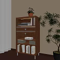 Dark Wooden Bookcase with Files Books Potted Plant and Large Indoor Tree Beside