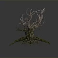 Withered Tree With Dry Trunk Branches And Green Mossy Roots On Dark Background