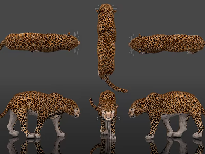 Detailed Reptile 3D Model Showcasing Spotted Patterns Multiple Angles And Various Poses 3d model