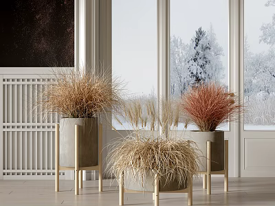 Bonsai Potted Plants with Dried Grass in Gray Planters on Legs Indoor Snowy View 3d model