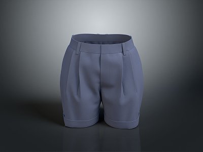 Women's Shorts Men's Shorts Half Pants Men's Pants Men's Pants Wear 3d model