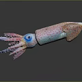 Colorful Aquatic Squid With Large Blue Eyes Pink And Blue Body Spots And Colorful Tentacles