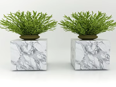 Bonsai Potted Plants With Green Leaves On Marble Cube Bases And Brown Pots 3d model