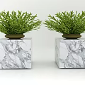 Bonsai Potted Plants With Green Leaves On Marble Cube Bases And Brown Pots