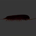 Detailed Red Trilobite With Orange Antennae And Legs On Gray Background