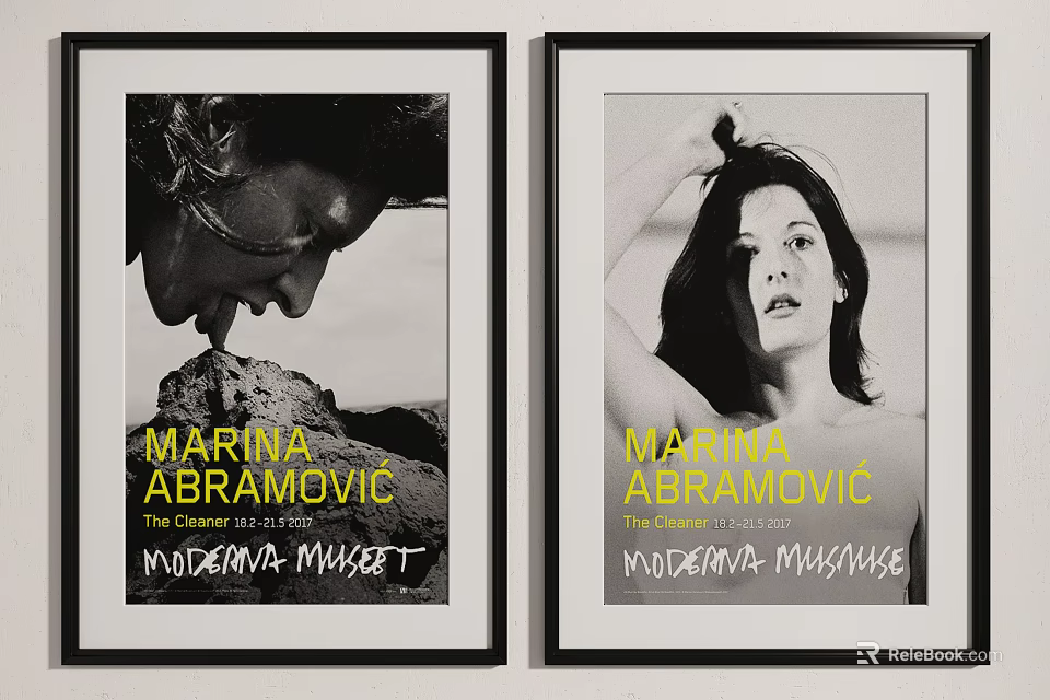Framed Marina Abramović Posters From Moderna Museet With Black And White 3d model 