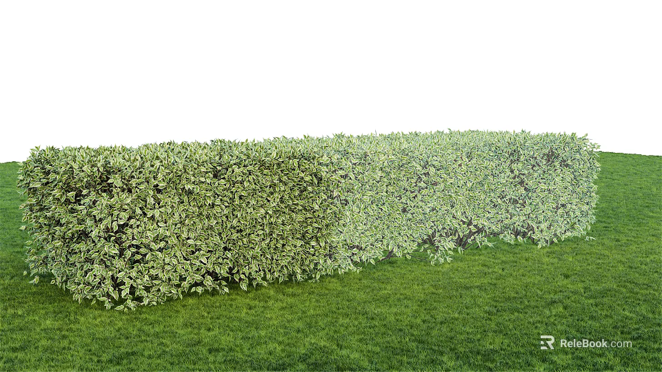 Lush Green Hedge in Garden Landscape with Fresh Green Grass 3d model 