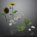 Vibrant Floral Arrangement With Yellow Sunflowers White Flowers And Green Leaves