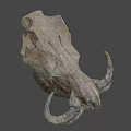 Prehistoric Animal Fossil Skull With Curved Horns And Detailed Bone Structure