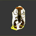 Fresh Lobster With Red Green Shell And Yellow Bands On White Paper
