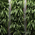 Living Green Plant Wall With Lush Ferns And Vertical Design For Indoor Decor