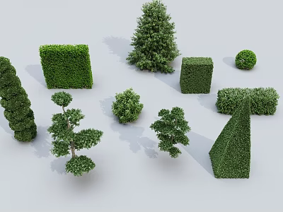Trimmed Garden Shrubs in Various Shapes Like Spiral Square Conical and Round 3d model