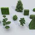 Trimmed Garden Shrubs in Various Shapes Like Spiral Square Conical and Round