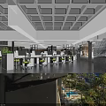 Contemporary Public Office Space Featuring Open Workstations Green Plants Ergonomic Chairs And Natural Lighting