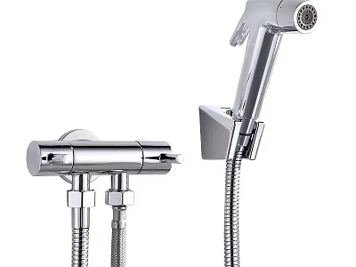 Modern Chrome Handheld Shower Head With Faucet And Flexible Hose 3d model