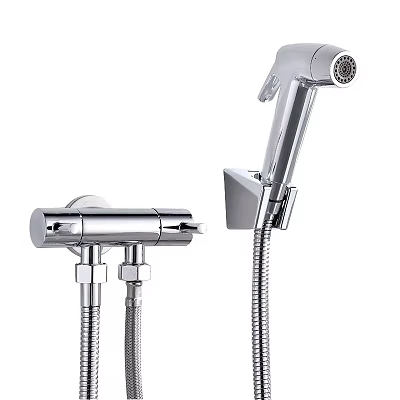 Modern Chrome Handheld Shower Head With Faucet And Flexible Hose 3d model