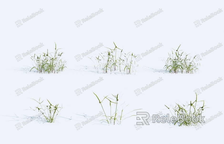 modern grass plant green plant shrub model