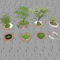 Circular Outdoor Tree Planters With Wooden Frames And Green Trees On Brick Pavement