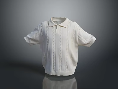 Casual Fashionable White Collared Short Sleeve Knitted Sweater With Cable Pattern 3d model