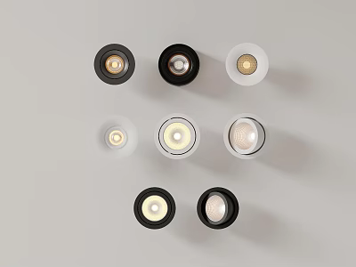 Modern Downlights And Spotlights With Various Styles Different Colors For Home Lighting 3d model