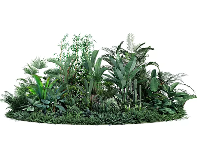 Lush Tropical Greenery Diverse Plant Collection Dense Foliage 3d model